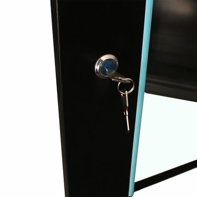9U Server Rack Cabinet изготовлен из холоднокатаной стали SPCC для офисной сети